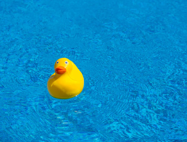 istock Yellow rubber duck in a pool 2157147506
