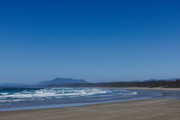 A view of Long Beach near Tofino, British Columbia, Canada on a sunny day.