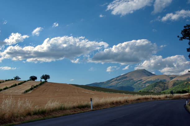 istock panorama of forested mountains against the sky with clouds 2157149469