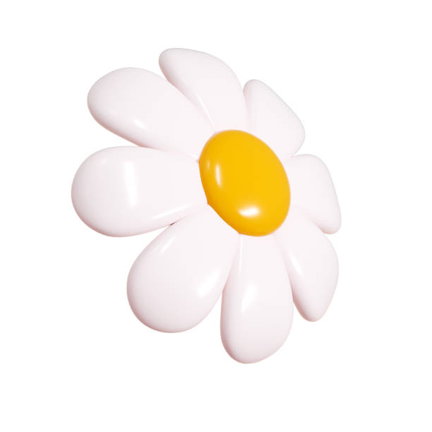 istock Daisy plastic flower cartoon icon 3d render illustration. 2157149645