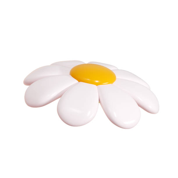 istock Daisy plastic flower cartoon icon 3d render illustration. 2157149652