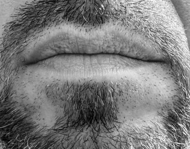mouth with beard. close-up portrait