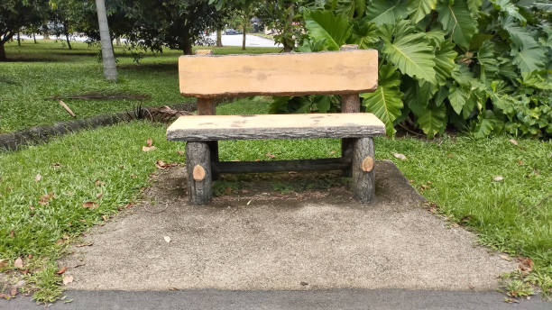 istock empty park bench along the asphalt road 2157151727