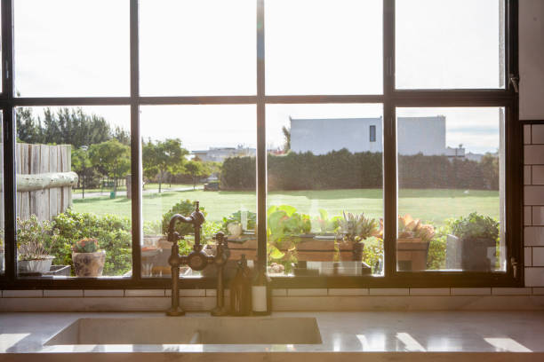 In front of a kitchen sink looking out a window at trees and nature in Lagunitas-Forest Knolls, California, United States