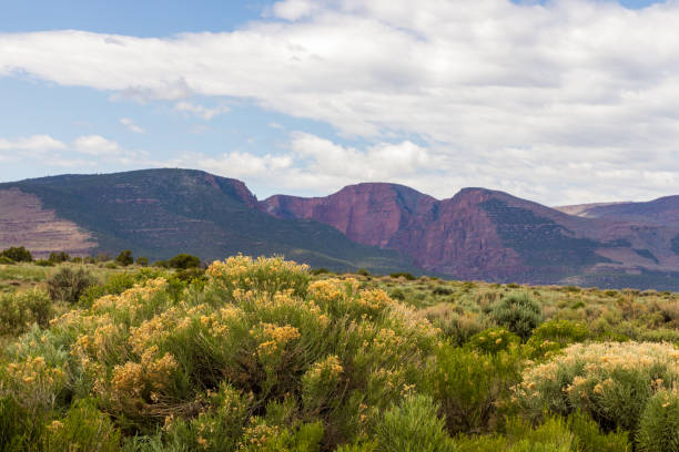 istock Dinosaur National Monument in Colorado and Utah 2157157906