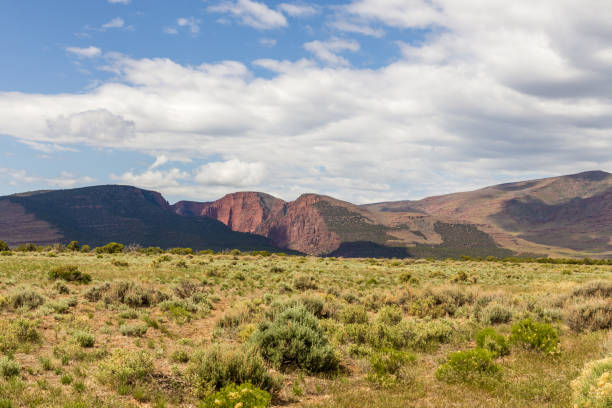 Dinosaur National Monument in Colorado and Utah in the spring