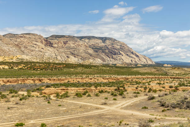istock Dinosaur National Monument in Colorado and Utah 2157158962