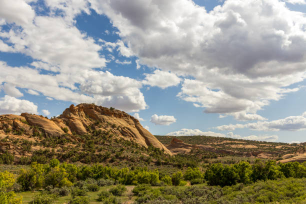 istock Dinosaur National Monument in Colorado and Utah 2157160951