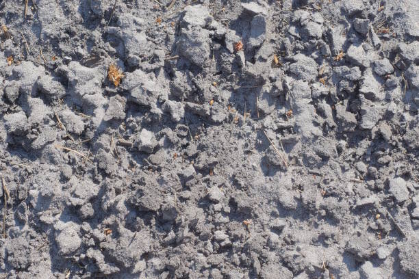 gray dry sand texture in a heap in the street