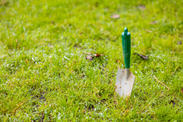 Garden trowel with wooden handle isolated on a white background