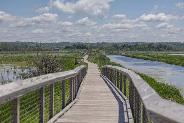 istock Boardwalk at Arcadia Marsh in Michigan 2157175429