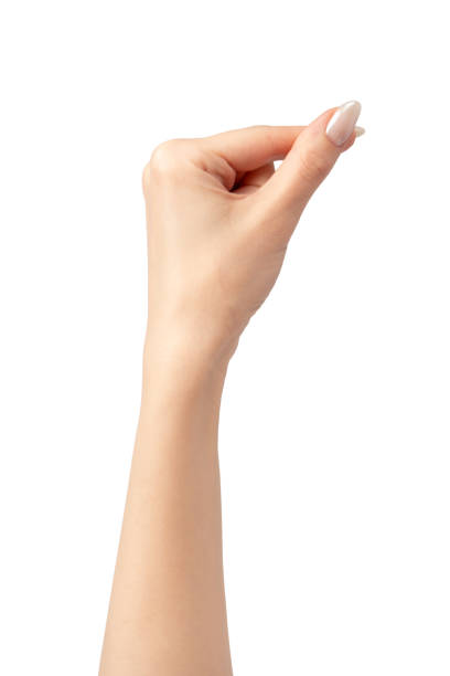 istock Woman hands  isolated on a white background. 2157175894