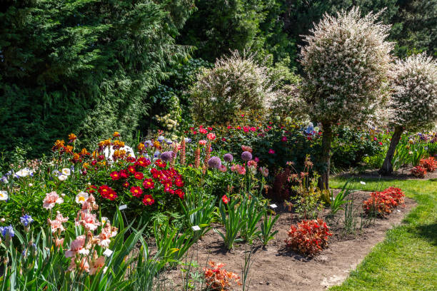 istock Colorful flowers in botanical garden 2157180098
