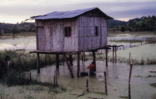 Amazonia, Ecuador - June 6, 2024: Stilt house in a swampy area