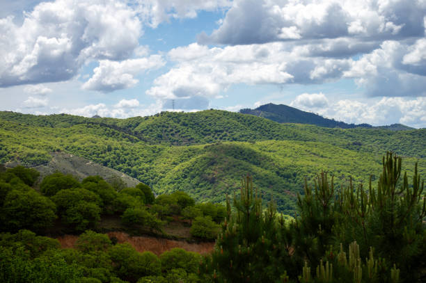 Hiking in Sierra de las Nieves National Park, Andalusia, southern Spain