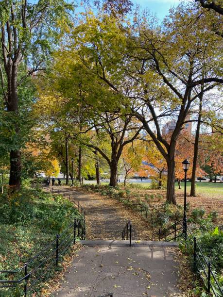 istock View down a long set of stairs curving through St. Nicholas Park in the fall in Harlem 2157182344