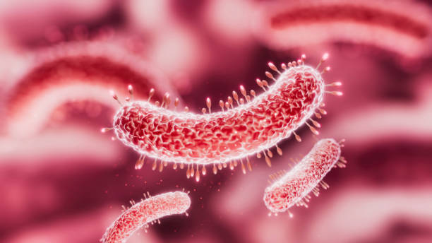 istock Bacteria medical illustration 2157183867