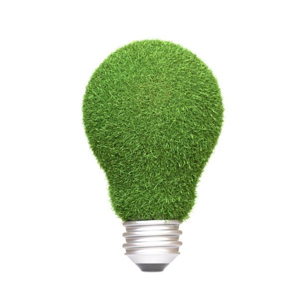istock A light bulb covered in green grass isolated on a white background 2157184867