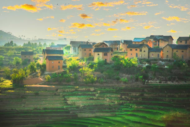 Fianarantsoa, Madagascar, 22. 10. 2023. rice terrasses Madagascar in early spring. light green shoots on irregularly shaped stepped areas. Clay houses of Malagasy, local residents on the hillsides