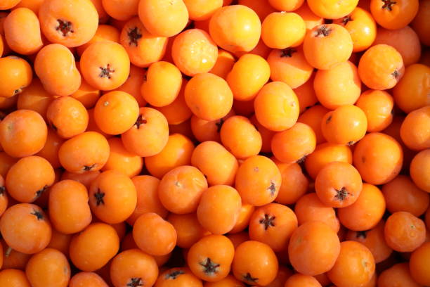 istock At the bustling market, there is a vast array of freshly picked oranges available for purchase 2157192652