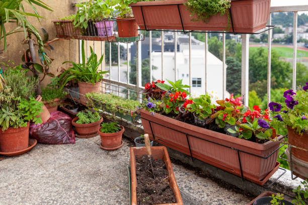Flower pots on the balcony are getting prepared for seedling