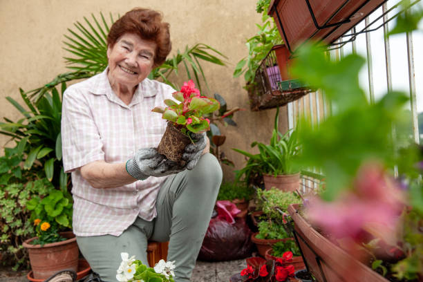 istock Happy senior woman with a green thumb 2157194103