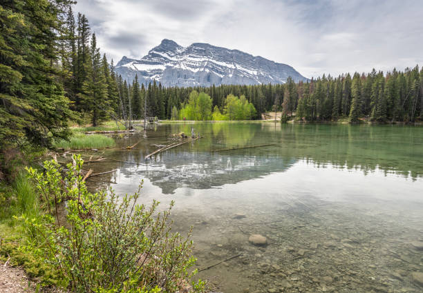 istock Mount Rundle and Johnson Lake in Banff National Park 2157195511