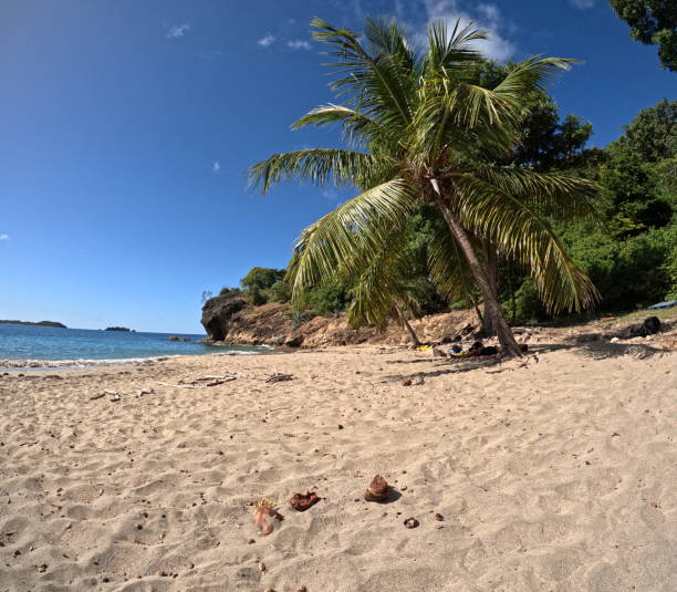 Anse crawen caribbean beach, terre de haut, les saintes, guadeloupe