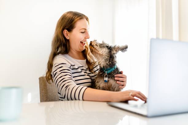 istock Playful dog licking woman's face, work from home concept 2157206245