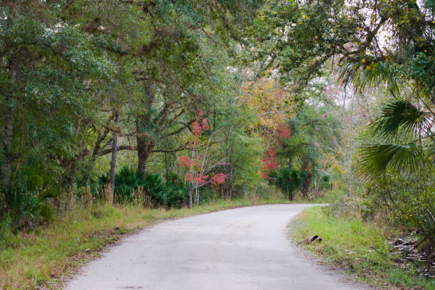 Kissimmee, FL, USA, January 3, 2024: Landscape, a dirt road in the countryside.