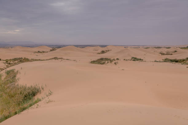 Desert sand, beautiful sand desert landscape at sunset, Inner Mongolia, China. Background image with copy space for text