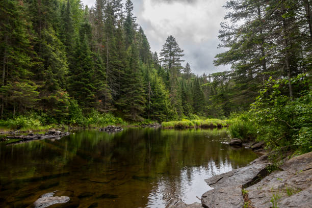 istock Track and Tower Trail, Algonquin Park, Ontario 7 2157213982