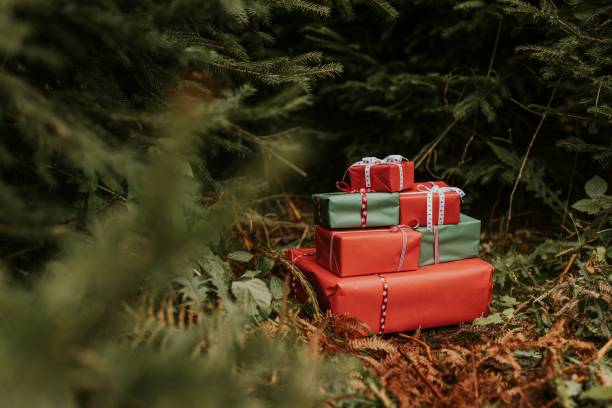 istock Christmas gift boxes under pine trees and bushes 2157216884