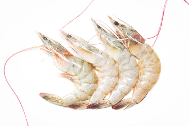 istock some raw shrimp isolated on white background 2157220569