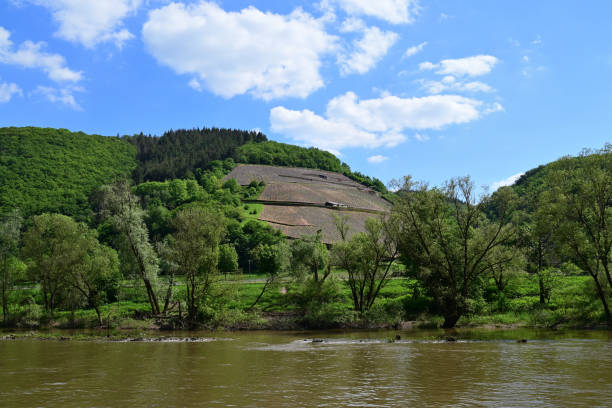 View of Cochem vineyards and Moselle from ship, Germany