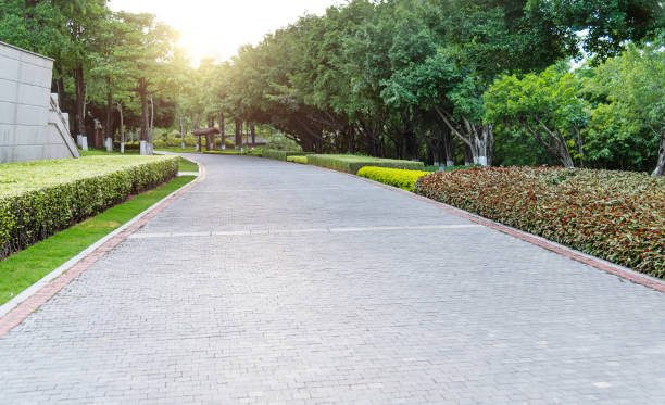 istock Public park with brick road and plants 2157222191