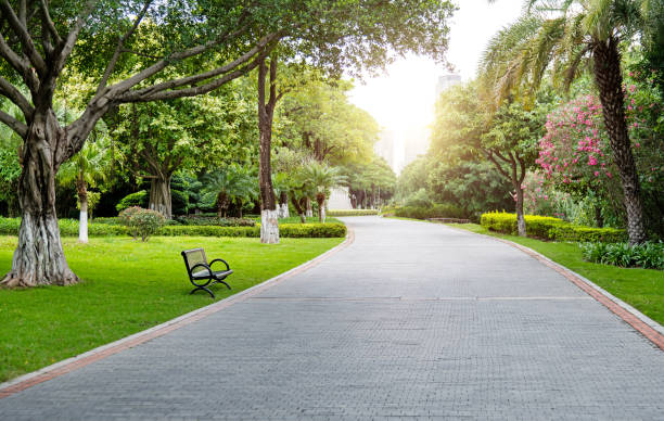 istock Public park with brick road and plants 2157222193