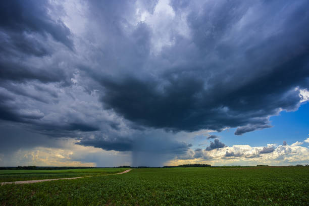 istock Witness a dramatic thunderstorm above a wildflower field with dramatic lightning strikes 2157222698