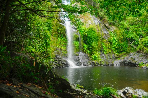 istock Cassowary Falls, Daintree Rainforest, Far North Queensland, Australia 2157224408