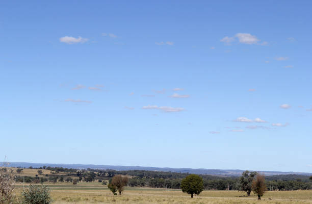 istock Field with grass and trees against a blue sky with scattered clouds background 2157224544