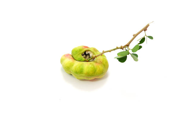 Three whole persimmon oranges kaki fruit on white background, organic food, studio shot