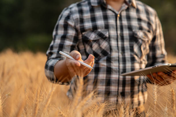 istock Farmer giving advice on wheat work online on tablet in wheat field. 2157229708