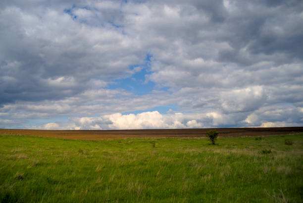 Meadow, plowed field and cloudy sky in April