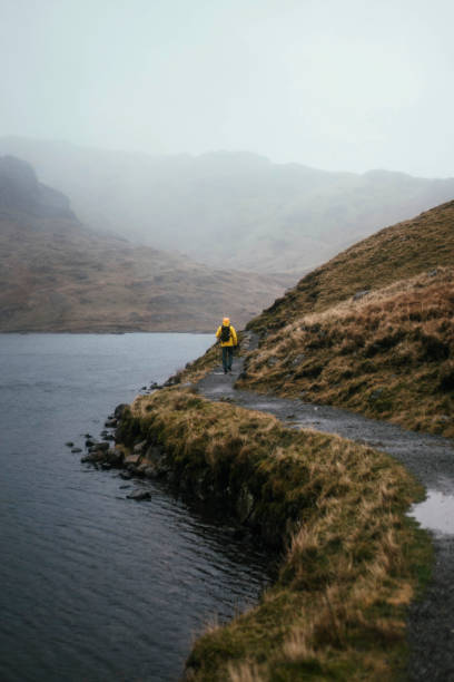 istock Woman trekking by the river 2157233304