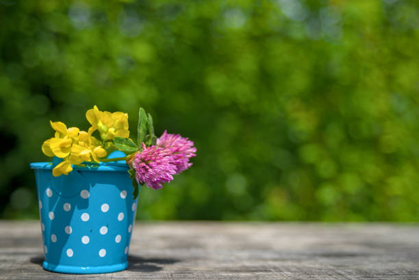 Wild flowers in a small blue bucket on the table