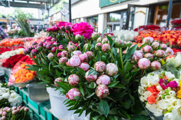 Bunches of Peony flowers on steet market