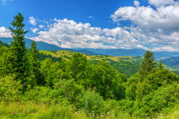 istock Lush forest covered mountains - Synevyr National Nature Park in Carpathian Mountain Range 2157235842