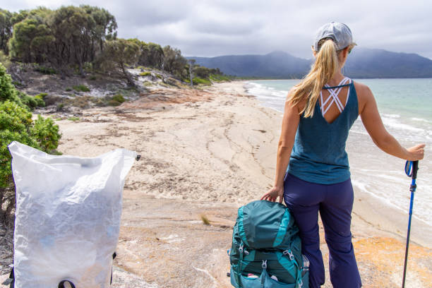 Beach scene with washed up seaweed and rolling forest in the background