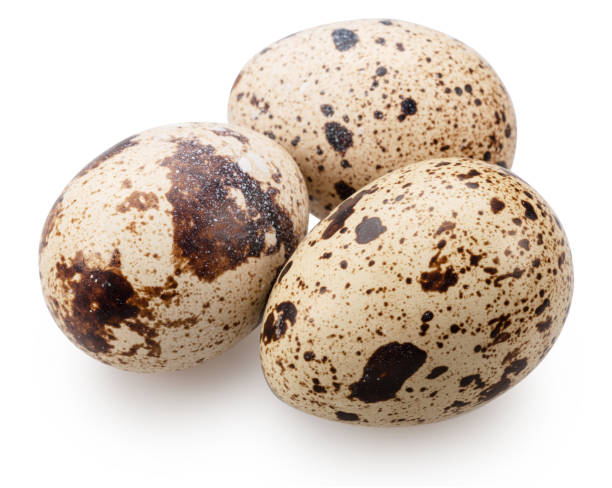 istock Quail eggs close up. on white background. File contains clipping path. 2157243515