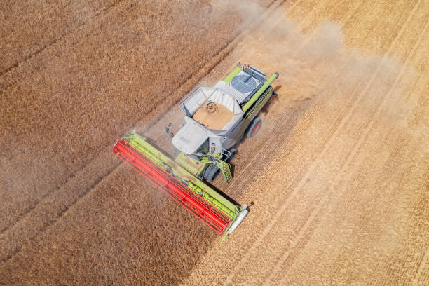 istock Combine harvester, aerial view 2157243676